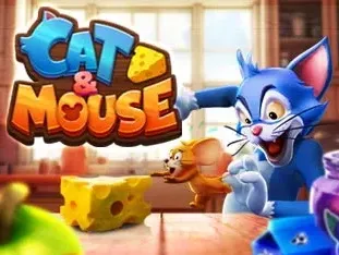 Cat & Mouse game icon
